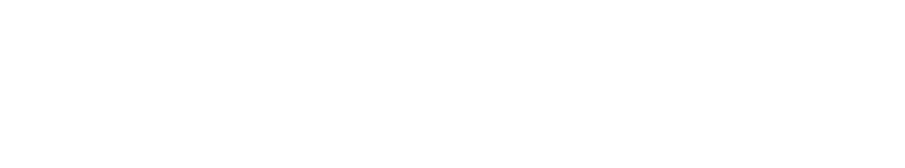 Partner logo 11