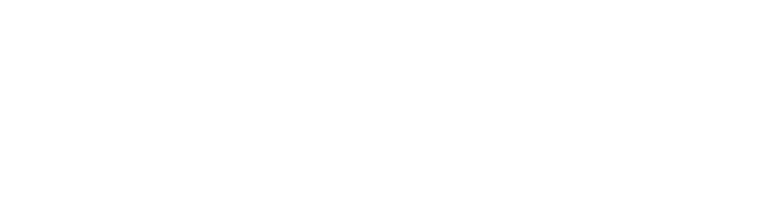 Partner logo 12