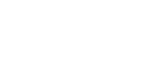 Partner logo 2