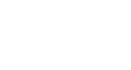 Partner logo 3